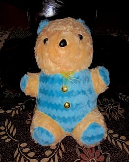 Filled Teddy Bear Cushion